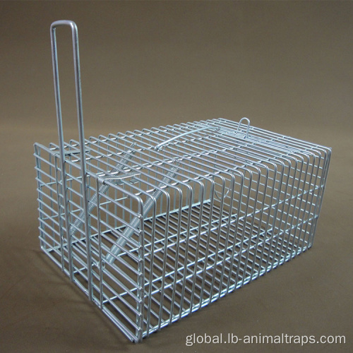 Small Animal Trap Cage Rodent Rat Trap mouse trap cage for house Factory